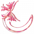 swirl-Pink and Peach