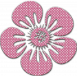 Flower-pink and white