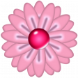  Flower e