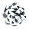 Winter Day Snowy Pinecone