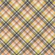 Heading Back 2 School Plaid Paper 08