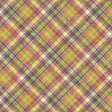 Heading Back 2 School Plaid Paper 10
