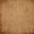 Backyard Archaeology - Plain Paper