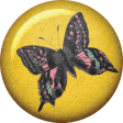 Delightful Days Butterfly Flair