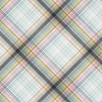 Singin' in the Rain Plaid Paper 10