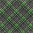 Veggie Table Plaid Paper - 07