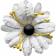 Bohemian Sunshine Element White Flower
