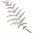 Autumn Bramble Brown Fern