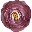 Vintage Memories: Genealogy Purple Flower 2