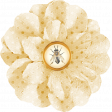 Heard The Buzz? Cream Flower