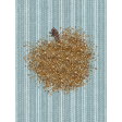 Mulled Cider Ticking Journal Card 3x4