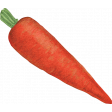 Garden Notes Carrot Sticker