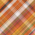 Sweet Autumn Plaid Paper 05