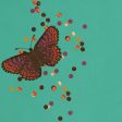 Fall Reflections Journal Card Butterfly 4x4