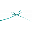 Baking Days Teal Bow