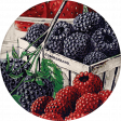 Summer Medley Element Round Sticker Berries