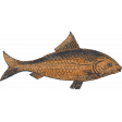 River Fog Tan Fish