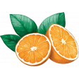 Orange Blossom Oranges Sticker