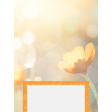 Orange Blossom Flower 3x4 Journal Card