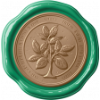 Orange Blossom Orange Tree Wax Seal