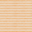 Orange Blossom Striped Paper