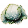 Lovely Garden Cabbage Sticker