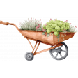 Lovely Garden Wheelbarrow