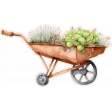 Lovely Garden Wheelbarrow Sticker