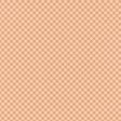 Lovely Garden Mini Peach Gingham Paper