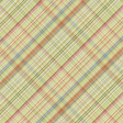 Lovely Garden Plaid Paper 02