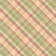 Lovely Garden Plaid Paper 05