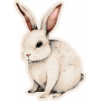 Lovely Garden Stickers : Bunny with Border