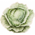 Lovely Garden Stickers : Cabbage with Border
