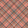 Perfect Pair Plaid Paper 03