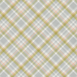 Perfect Pair Plaid Paper 10