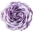 Vintage Blooms Element Lavender Rose Flower