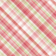 Spring Fresh Plaid Paper 04