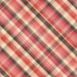 Spring Fresh Plaid Paper 06