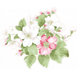 Spring Fresh Flower Sticker