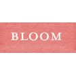 Spring Fresh Bloom Word Art