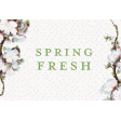 Spring Fresh Journal Card Spring Fresh 4x6