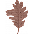 Buttermilk Element Brown Leaf