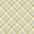 Afternoon Daffodil Plaid Paper 05
