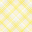 Afternoon Daffodil Plaid Paper 09