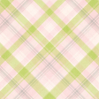 Old Fashioned Summer Plaid Paper 02