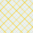 Old Fashioned Summer Plaid Paper 03