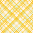 Old Fashioned Summer Plaid Paper 07