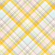 Old Fashioned Summer Plaid Paper 08