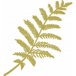 Summer's Blush Mini fern branch