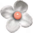Summer's Blush Mini flower white